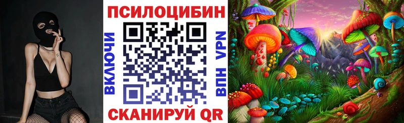 сайты даркнета формула блэк спрут зеркало Галлюциногенные грибы MAGIC MUSHROOMS Весьегонск наркошоп